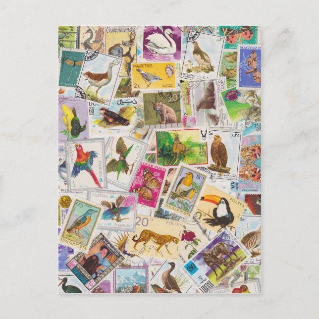 Briefmarke hier platzieren postkarte (Vorderseite)