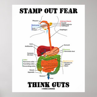 Briefmarke-Out-Angst Think-Pads (Digestive System Poster
