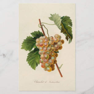 Briefpapier Chasselat Des Fontainebleau