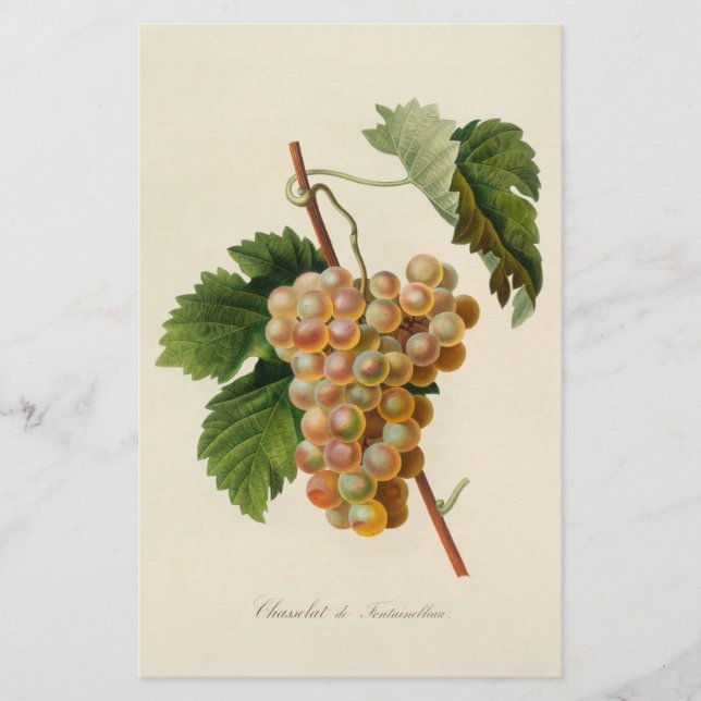 Briefpapier Chasselat Des Fontainebleau (Vorderseite)