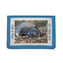 Brieftasche für Katzen und Nickerchen