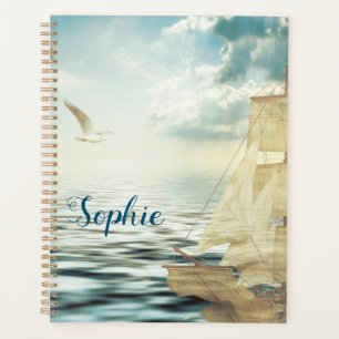Brigantine Sailboat & Seagulls Planer