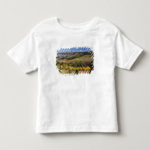 Brigger-Teton-Nationalwald Kleinkind T-shirt