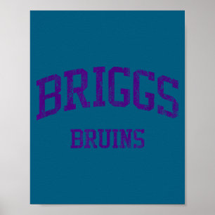 Briggs High School Hs Columbus Kunstwerk Poster