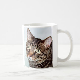 Briggs-Katzen-Tasse Tasse