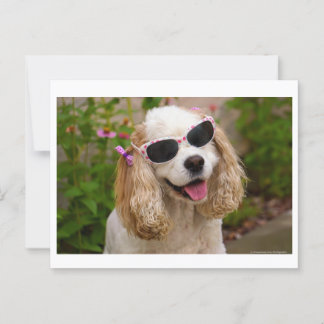 Brighed Your Day Postcard - Cocker Spaniel Postkarte