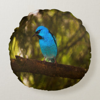 Bright Blue Bird Rundes Kissen