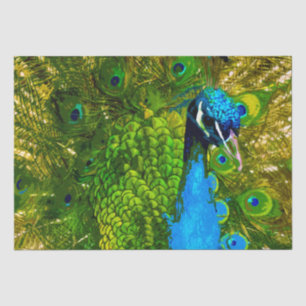 Bright Blue & Green Peacock Feathers farbenfroher  Seidenpapier