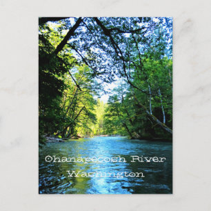 Bright Blue River Under Green Trees in Washington Postkarte