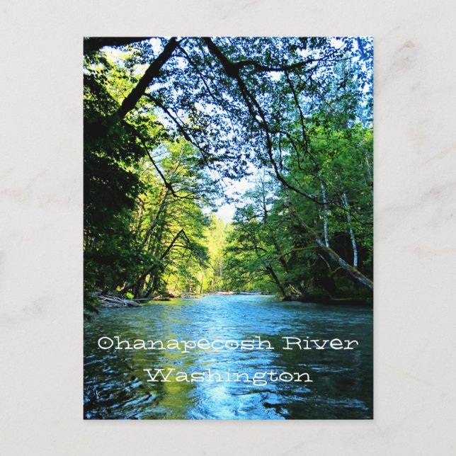 Bright Blue River Under Green Trees in Washington Postkarte (Vorderseite)