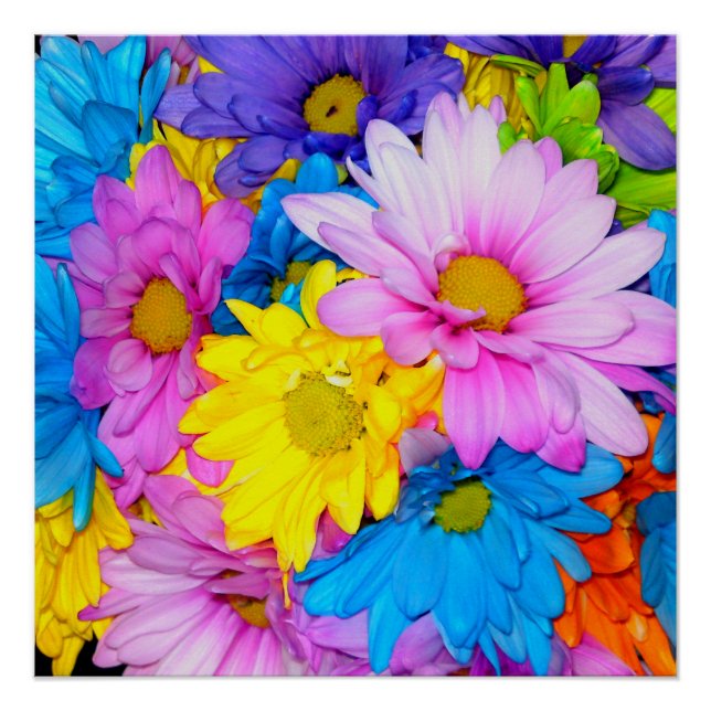 Bright Daisy Blume Mix Perfect Poster (Vorderseite)