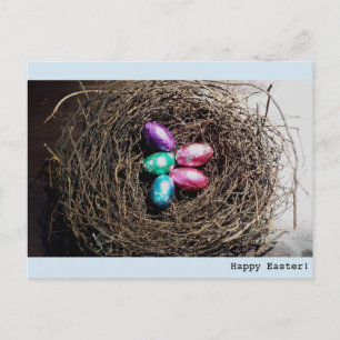 Bright Easter eggs in real bird's Nest Feiertagspostkarte