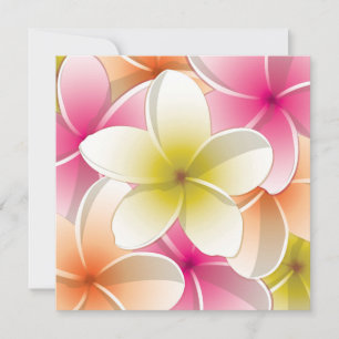 Bright Frangipani/ Plumeria flowers