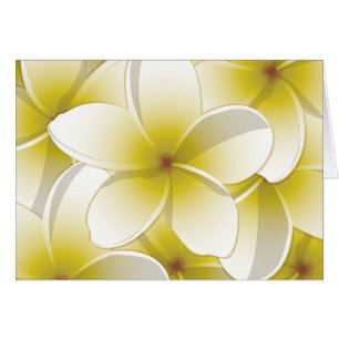 Bright Frangipani/ Plumeria flowers