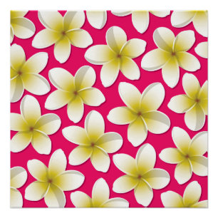 Bright Frangipani/ Plumeria flowers Poster