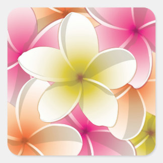 Bright Frangipani/ Plumeria flowers Quadratischer Aufkleber