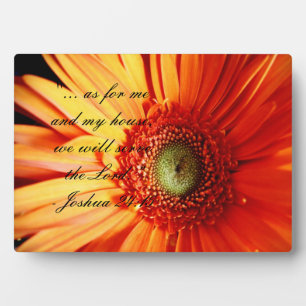 Bright Orange Daisy Fotoplatte