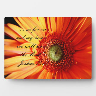 Bright Orange Daisy Fotoplatte