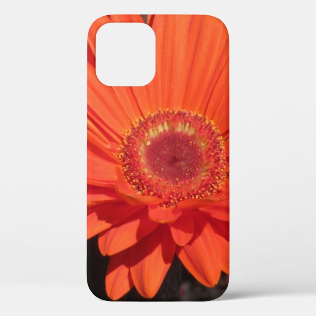 Bright Orange Gerbera Daisy Blume Foto Case-Mate iPhone Hülle (Rückseite)