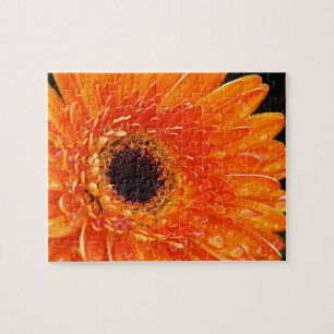 Bright Orange Gerbera Daisy Macro Fotografie Puzzle