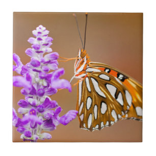 Bright Orange Gulf Fritillary Butterfly Fliese