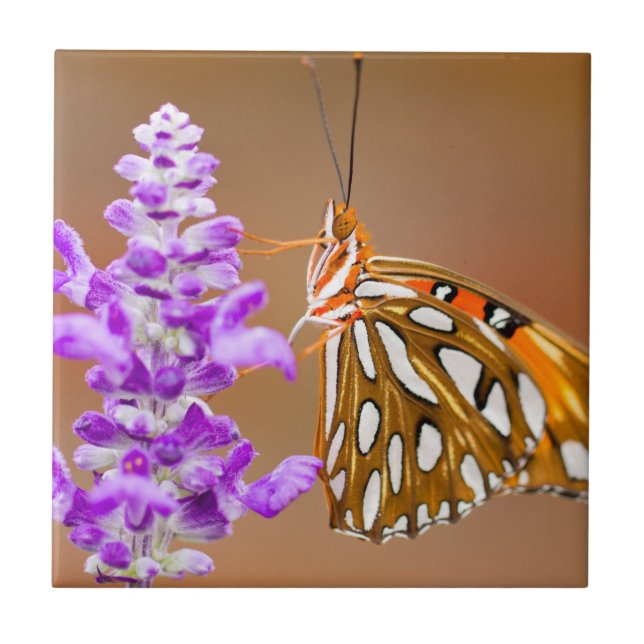 Bright Orange Gulf Fritillary Butterfly Fliese (Vorderseite)