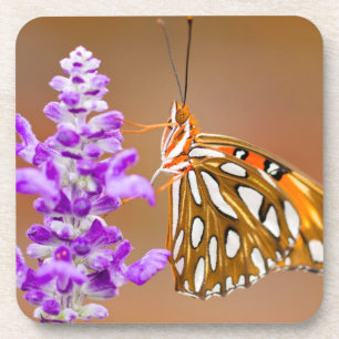 Bright Orange Gulf Fritillary Butterfly Getränkeuntersetzer