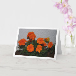 Bright Orange Marigold Blume Portrait Karte
