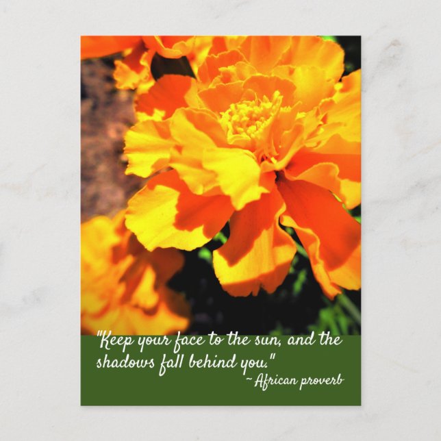 Bright Orange Marigolds Blume Inspirierte Zitat Postkarte (Vorderseite)