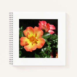 Bright Orange Roses - Dark Aspect Spiral Notebook Notizbuch