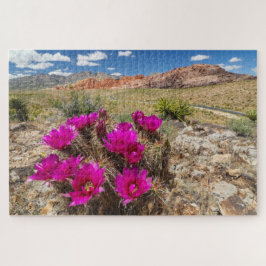Bright pink cactus flowers in Red Rock Canyon, Nv Puzzle