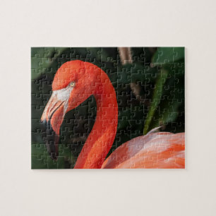 Bright Pink Flamingo Puzzle