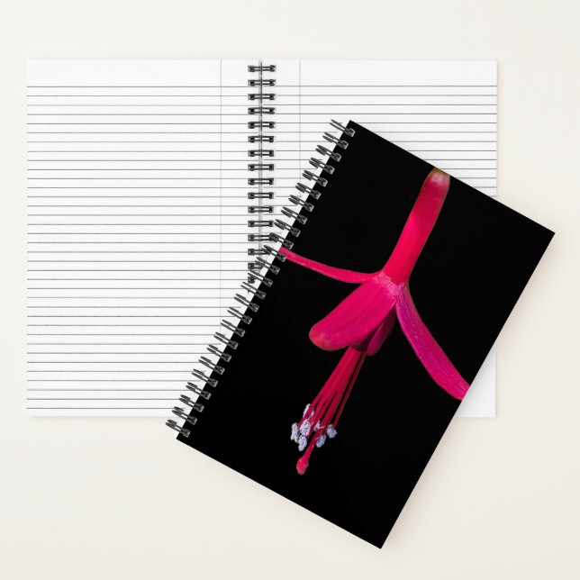Bright Pink Fuchsia Flower on Black Notizbuch (Innen)