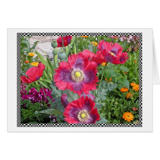 Bright Poppies (Vorderseite (Horizontal))