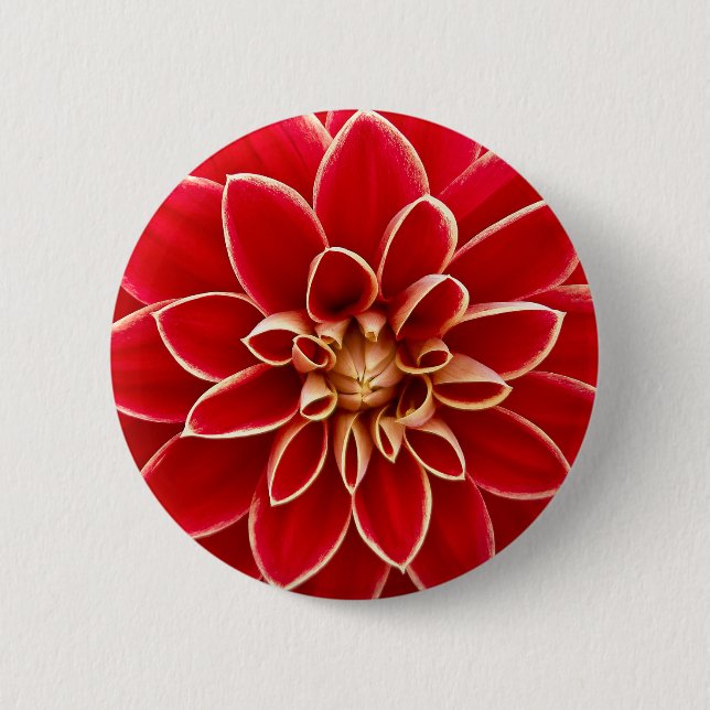 Bright Red Dahlia Button (Vorderseite)