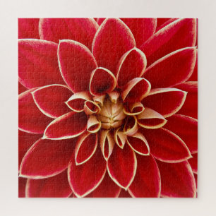 Bright Red Dahlia Closeup Puzzle