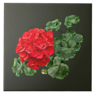 Bright Red Geranium Fliese