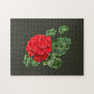 Bright Red Geranium Puzzle