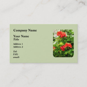 Bright Red Geraniums Visitenkarte