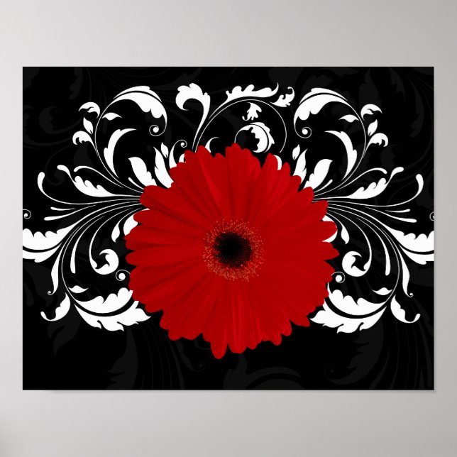 Bright Red Gerbera Daisy auf Black Poster (Vorne)