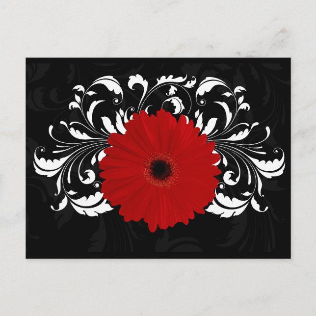 Bright Red Gerbera Daisy auf Black Postkarte (Vorderseite)