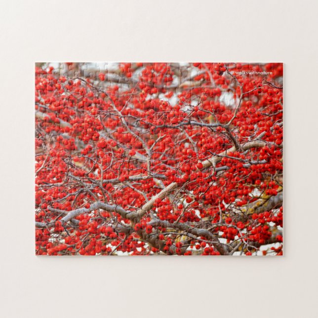 Bright Red Winterberries Holly Trees Berries Puzzle (Horizontal)
