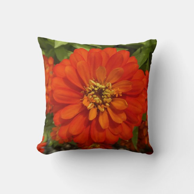 Bright Red Zinnia Trend  Kissen (Vorderseite)