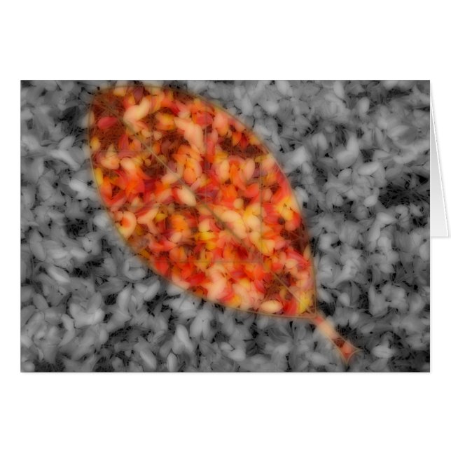 Bright Shadows Card (Vorderseite (Horizontal))