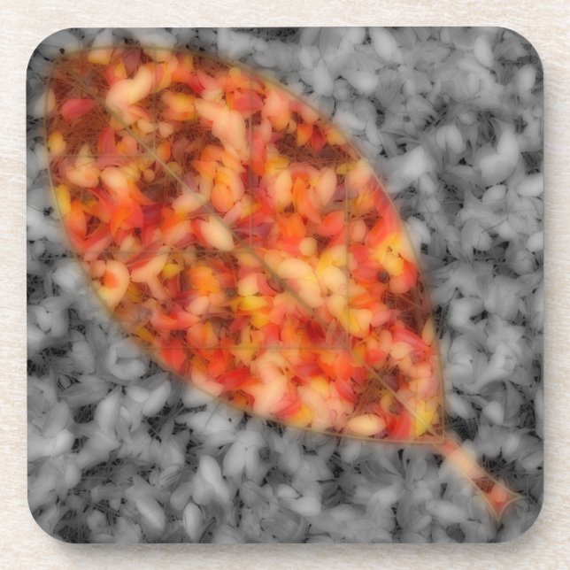 Bright Shadows Cork Untersetzer (Vorderseite)