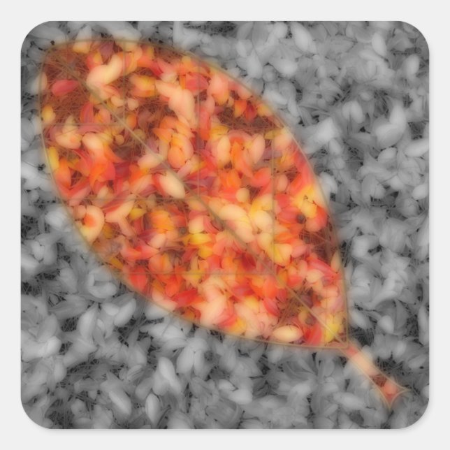 Bright Shadows Stickers (Vorderseite)