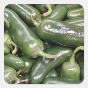 Bright Shiny Green Jalapeno Paprikaschoten Pile Fo Quadratischer Aufkleber