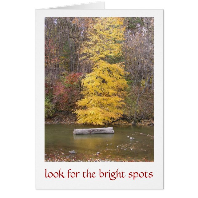 "BRIGHT YELLOW TREE ALONG RIVER BANK" (Vorne)