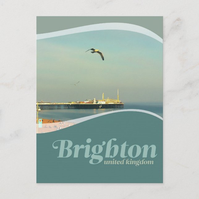 Brighton Pier Seagull Postcard Postkarte (Vorderseite)