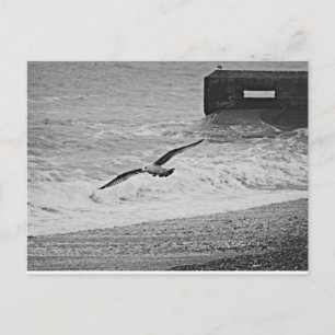 Brighton Postkarte